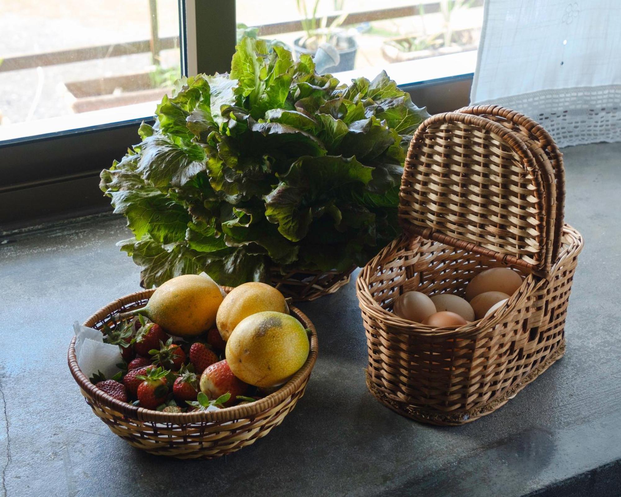 Casa das Hortências Farroupo Extérieur photo